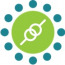 KiwiQA Services